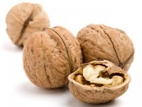 Ореховое масло, содержащееся в грецких орехах, выводит «плохой» холестерин
