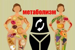 Метаболизм - причины, симптомы, лечение и профилактика