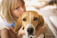 Спасти ребенка от подверженности аллергиям помогает общение с собакой