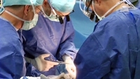 Врачи НИИ Склифосовского рапортуют об удачно проведенной операции по трансплантации тонкого кишечника